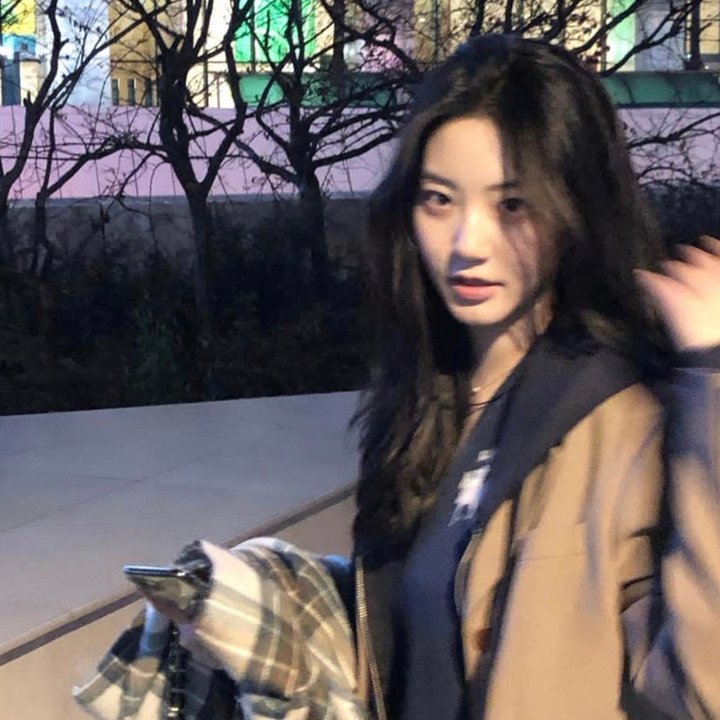 锦上添花